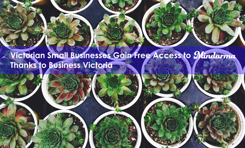 Victorian Small Businesses Gain Free Access to Mindarma Thanks to Business Victoria